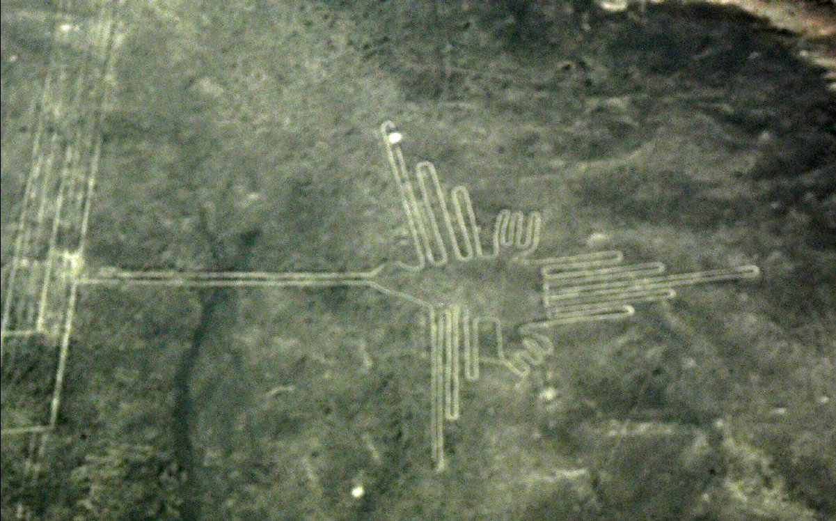 Nasca Lines24 - Humming Bird